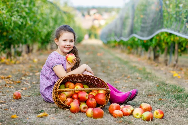 Elma bahçesinde oturan gülümseyen bir kız elinde taze bir elma, hasat zamanı meyve dolu sepetlerle çevrili, doğal ışık, gerçek hayat anı.