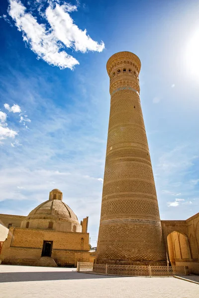 Buhara, Özbekistan 'daki Kalyan Minaresi, tarihi şehrin üzerinde mavi gökyüzünün altında yükselen devasa İslami mimari kulesi.