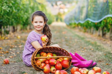 Elma bahçesinde oturan gülümseyen bir kız elinde taze bir elma, hasat zamanı meyve dolu sepetlerle çevrili, doğal ışık, gerçek hayat anı.