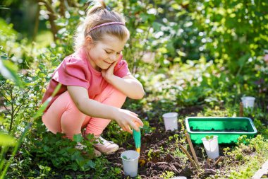 Küçük mutlu anaokulu kızı aile bahçesine fidanlar ekiyor. Çocuk bahçeciliği, ekmeyi ve sebze yetiştirmeyi öğreniyor. Çocuklar ve ekoloji, çevre kavramı