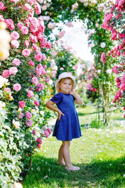 Çiçek açan gül bahçesinde küçük bir kızın portresi. Yaz güneşli bir günde parkta güllerle ve çiçeklerle eğlenen sevimli güzel bir çocuk. Mutlu gülümseyen bebek