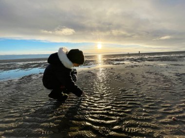 Cheerful little girl walking and searching shells on beach of North Sea during low tide on cold but sunny spring day