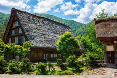 Japon tarihi köyü Shirakawa-go yazları geleneksel gthe-zukuri evleri, dik sazdan çatılar ve yeşil dağ manzarası ile