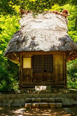 Japon tarihi köyü Shirakawa-go yazları geleneksel gthe-zukuri evleri, dik sazdan çatılar ve yeşil dağ manzarası ile