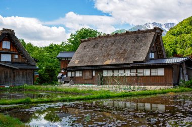 Japon tarihi köyü Shirakawa-go yazları geleneksel gthe-zukuri evleri, dik sazdan çatılar ve yeşil dağ manzarası ile