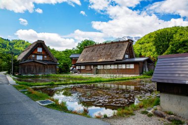 Japon tarihi köyü Shirakawa-go yazları geleneksel gthe-zukuri evleri, dik sazdan çatılar ve yeşil dağ manzarası ile