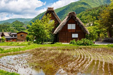 Japon tarihi köyü Shirakawa-go yazları geleneksel gthe-zukuri evleri, dik sazdan çatılar ve yeşil dağ manzarası ile