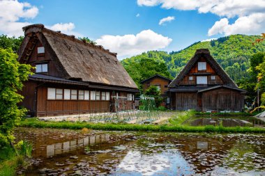Japon tarihi köyü Shirakawa-go yazları geleneksel gthe-zukuri evleri, dik sazdan çatılar ve yeşil dağ manzarası ile
