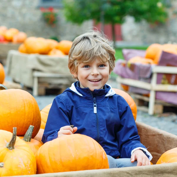 Little kid boy on pumpkin farm celebrating thanksgiving — Stock Photo, Image
