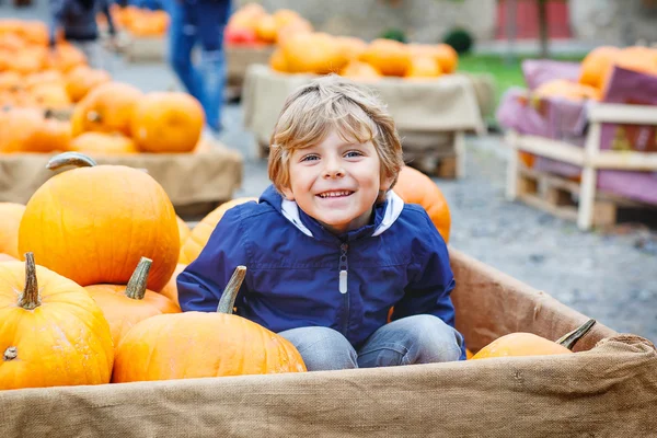 Petit garçon sur la ferme de citrouille célébrant Thanksgiving — Photo