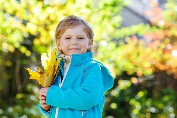 Kid jongetje met najaar van gele bladeren in park — Stockfoto