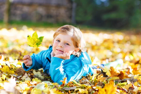 Liten gutt med gule høstblader i parken – stockfoto
