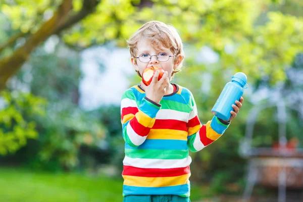 Piccolo scolaretto con libri, bottiglia di mele e bevande — Foto Stock