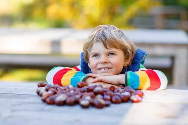 Pequena criança loira brincando com castanhas no parque de outono . — Fotografia de Stock