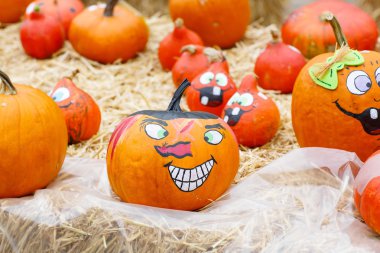 tombul ve sulu tatil balkabağına demet