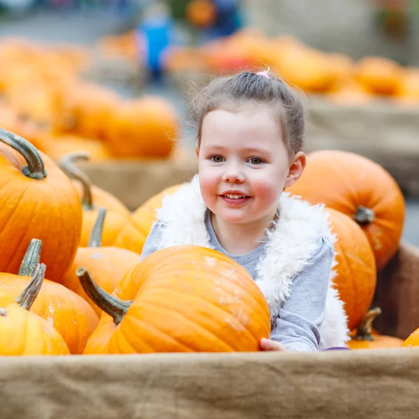 Little kid girl on pumpkin farm celebrating thanksgiving — Zdjęcie stockowe