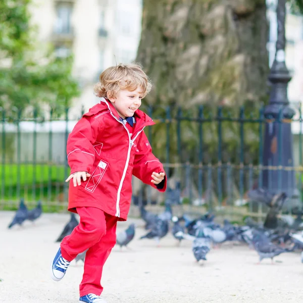 Cute little  boy catching and playing with pigeons in city — Stock Photo, Image