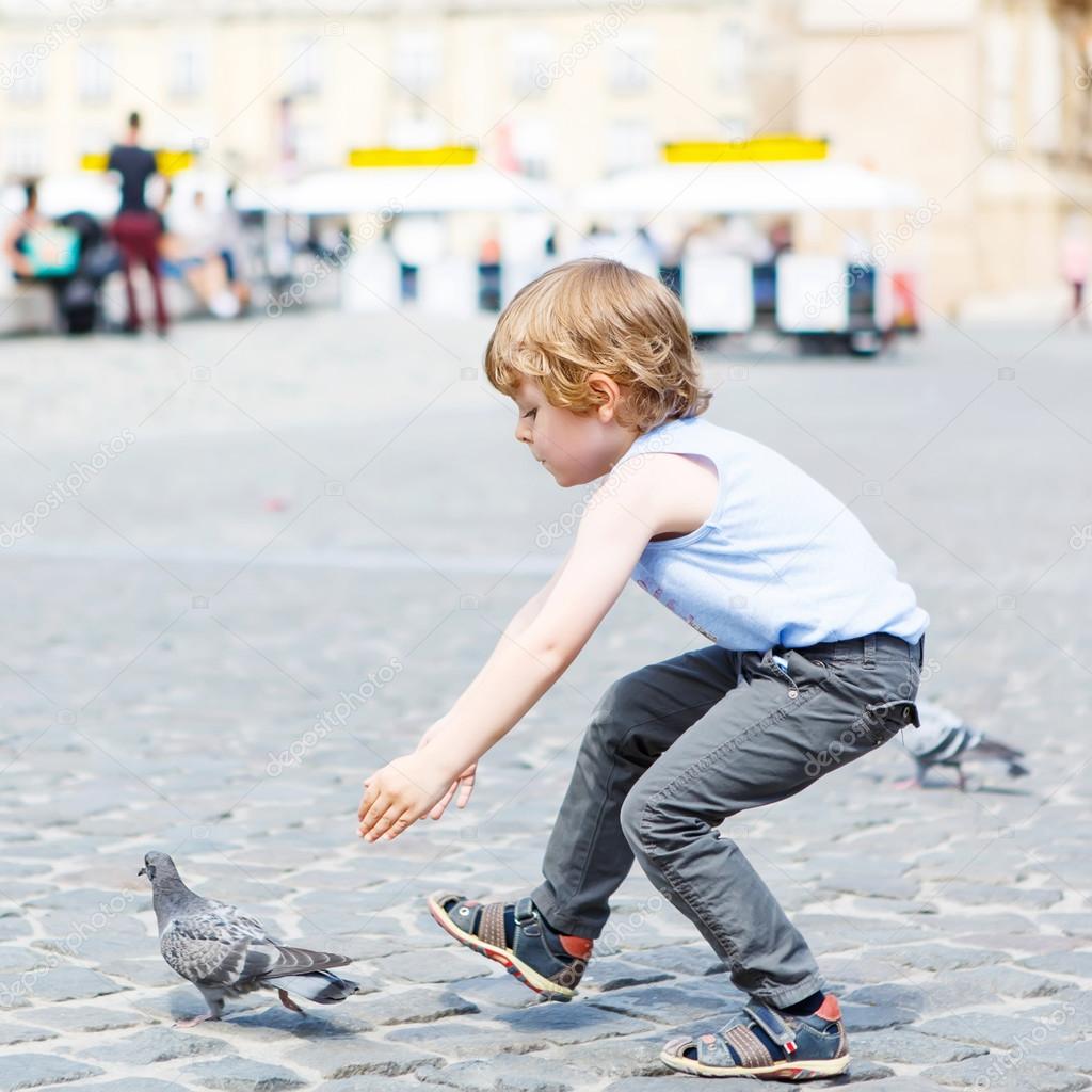 Cute little  boy catching and playing with pigeons in city