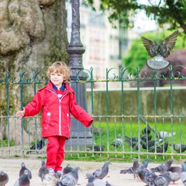 Sevimli küçük çocuk yakalamak ve güvercinler City ile oynuyor