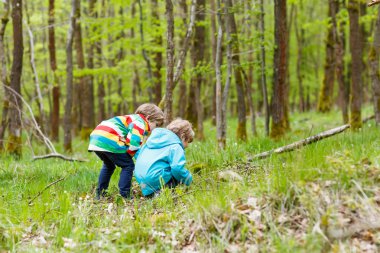 Two kid boys walking through forest on cold day