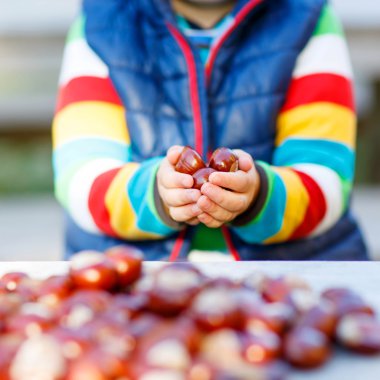 kestane sonbahar Park ile oynayan küçük sarışın çocuk.