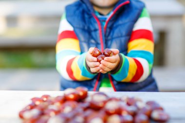 kestane sonbahar Park ile oynayan küçük sarışın çocuk.