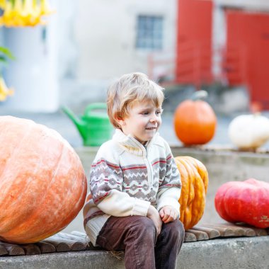 Küçük çocuk ile lots-in kabak yama çiftlikte oturuyor