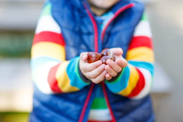 Bambino biondo che gioca con le castagne nel parco autunnale . — Foto Stock