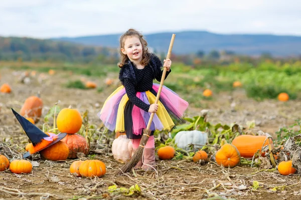 Mała dziewczynka noszenia czarownica halloween kostium na farmie dyniowej — Zdjęcie stockowe