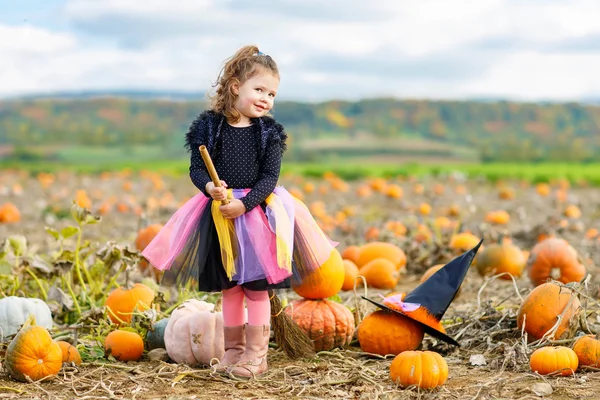 Mała dziewczynka noszenia czarownica halloween kostium na farmie dyniowej — Zdjęcie stockowe