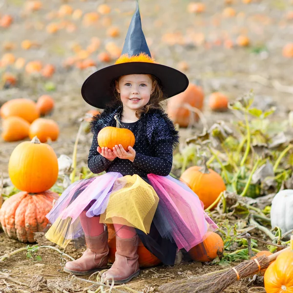 Menina vestindo traje de bruxa halloween em remendo de abóbora — Fotografia de Stock