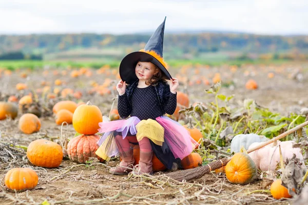 Menina vestindo traje de bruxa halloween em remendo de abóbora — Fotografia de Stock