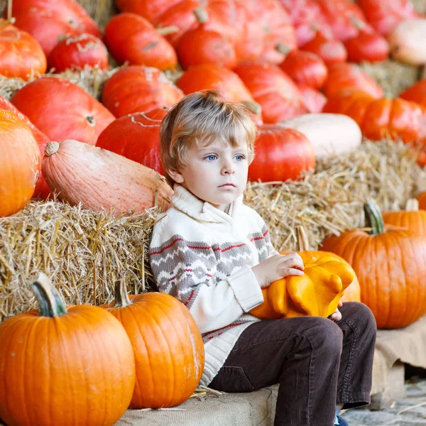 Pequeño niño sentado con un montón de calabazas en la granja de parches — Foto de Stock