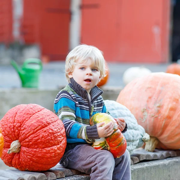 Petit enfant assis avec beaucoup de citrouilles à la ferme patch — Photo