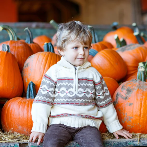 Pequeño niño sentado con un montón de calabazas en la granja de parches —  Fotos de Stock