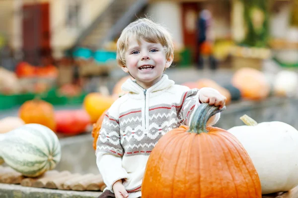 Petit enfant assis avec beaucoup de citrouilles à la ferme patch — Photo