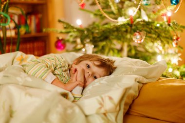 küçük şirin sarışın çocuk Noel ağacının altında uyuyor