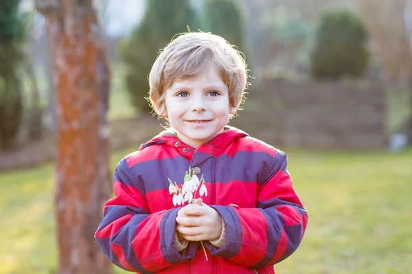Liten unge pojke i röd jacka håller snowdrop blommor — Stockfoto