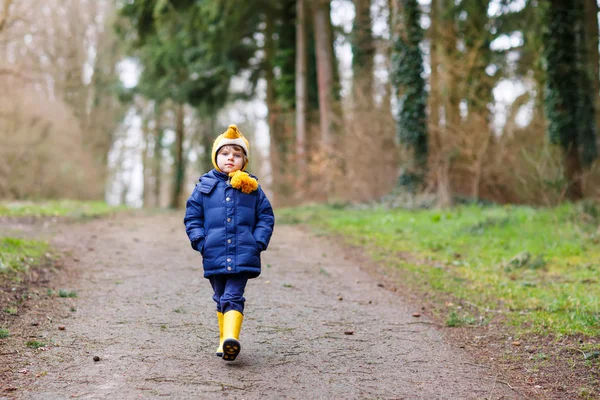 Cute little kid boy walking through autumn forest — Stock Photo, Image