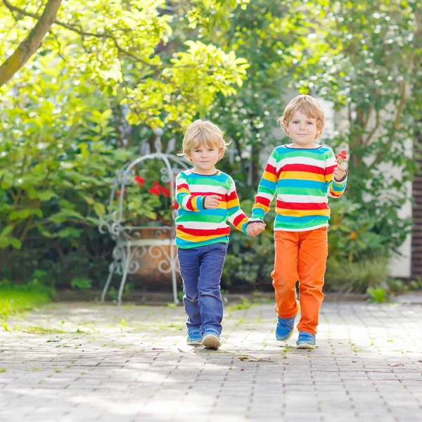 Two little sibling kid boys in colorful clothing walking hand in — Stock Photo, Image