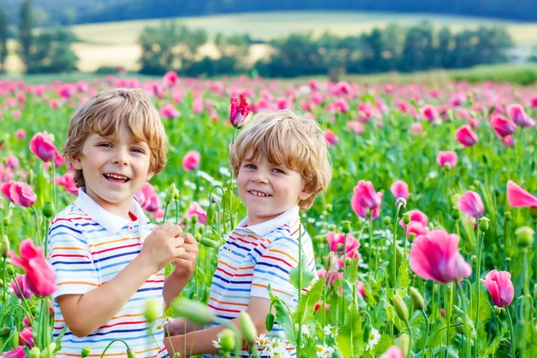 Duas crianças loiras felizes no campo de papoula florescente — Fotografia de Stock
