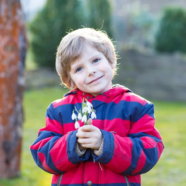 Little kid boy in red jacket holding snowdrop flowers — Stock Photo, Image