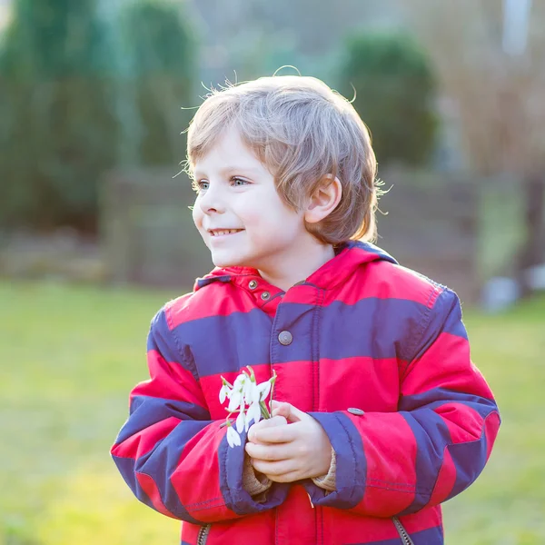 Little kid boy in red jacket holding snowdrop flowers — Stock Photo, Image