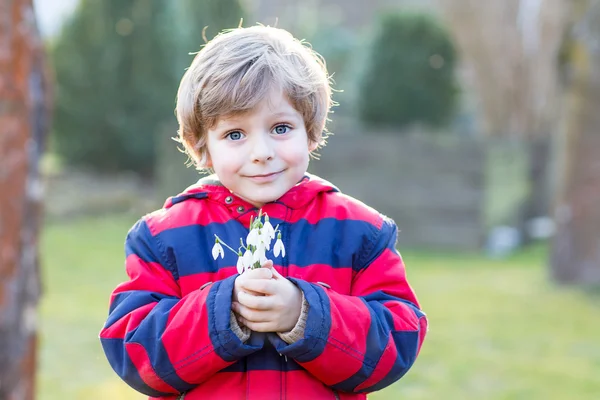 Little kid boy in red jacket holding snowdrop flowers — Stock Photo, Image