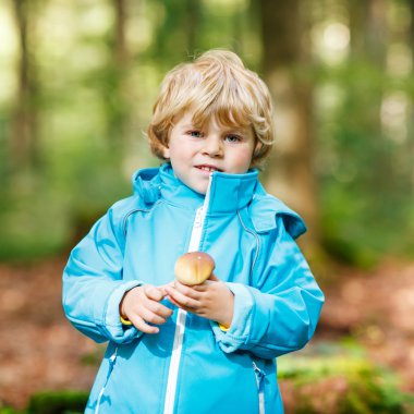 sonbahar ormandaki mavi su geçirmez yağmurluk küçük yürümeye başlayan çocuk