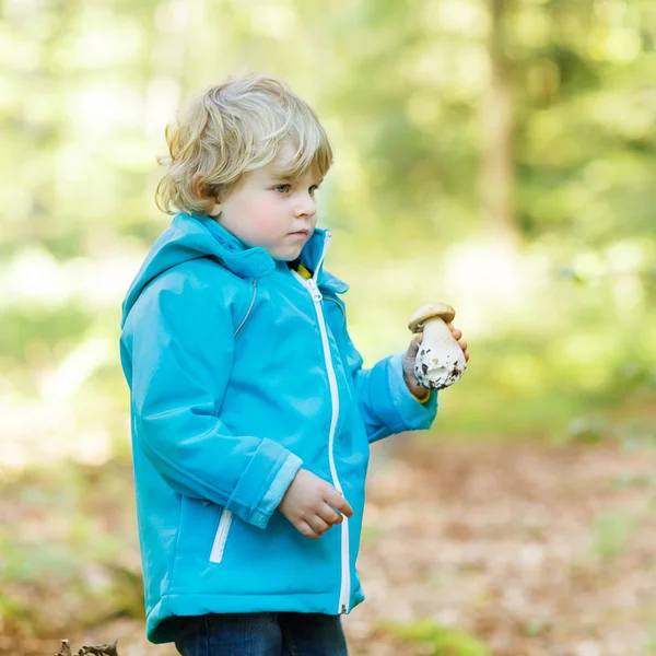 Cute toddler  boy in blue waterproof raincoat in autumn forest — Stock Photo, Image