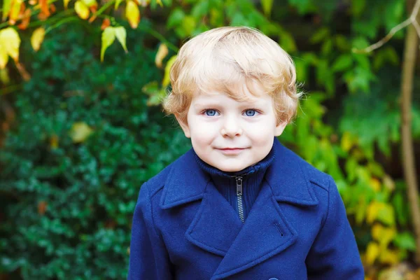 Portrait of little toddler boy on autumn day — Stock Photo, Image