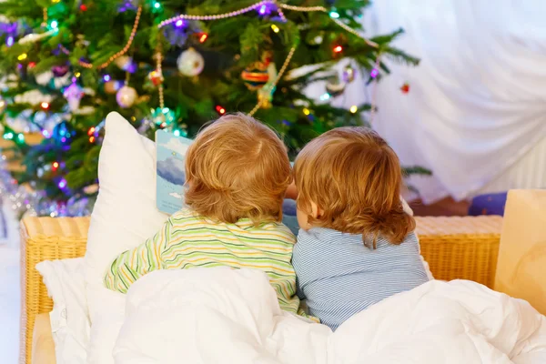 Two little sibling boys reading book on Christmas — 스톡 사진