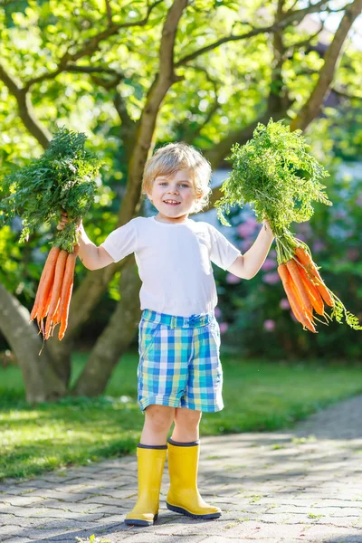 Glad liten unge pojke med morötter i inhemska trädgård — Stockfoto