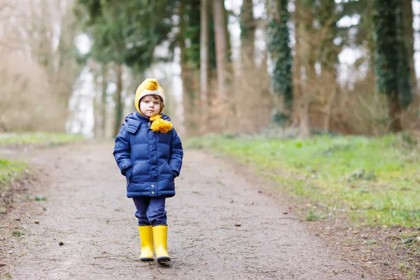 Cute little kid boy walking through autumn forest — Stock Photo, Image